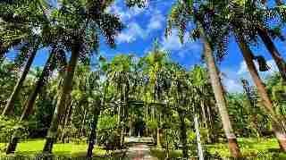 Saputara • Waghai Garden • Gira Waterfall